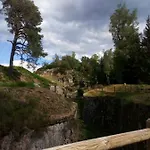 Des Hortensias Raon-aux-Bois