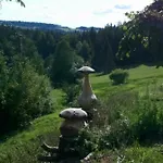 Des Hortensias * Raon-aux-Bois