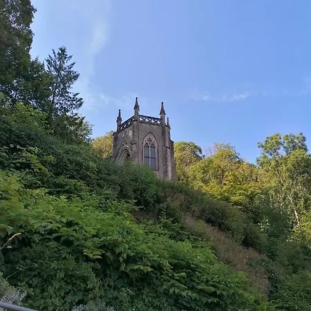 Des Hortensias Raon-aux-Bois