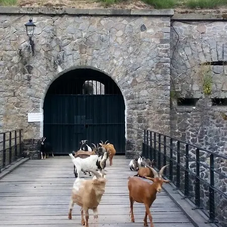 Feriehus Des Hortensias