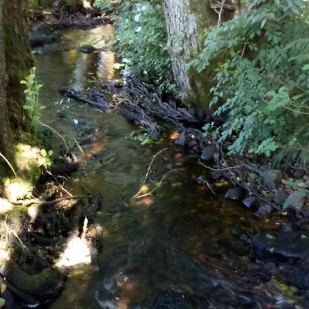 Ferienhaus Des Hortensias *