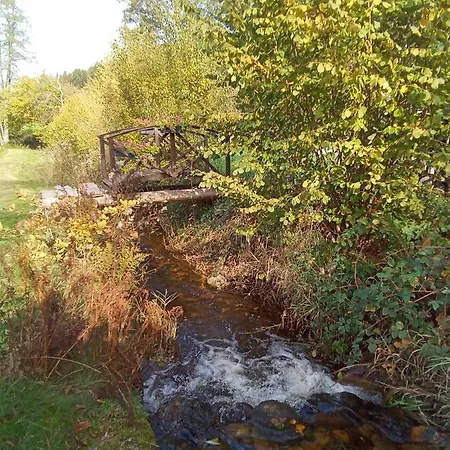 Ferienhaus Des Hortensias *