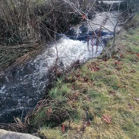 Des Hortensias Feriehus Raon-aux-Bois
