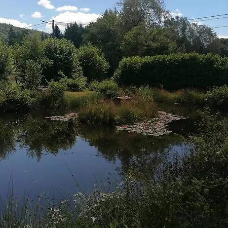 Des Hortensias Feriehus Raon-aux-Bois
