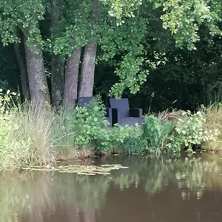Des Hortensias Raon-aux-Bois