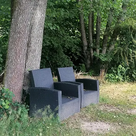 Des Hortensias * Raon-aux-Bois