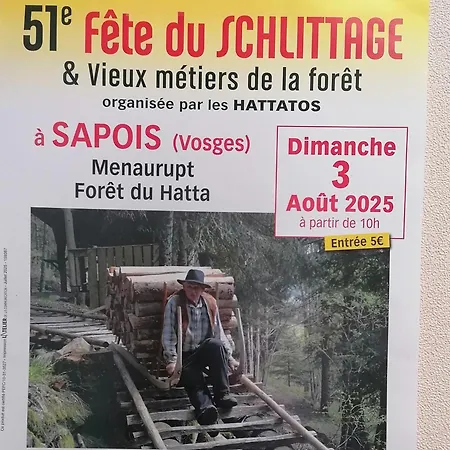 Des Hortensias Ferienhaus Raon-aux-Bois