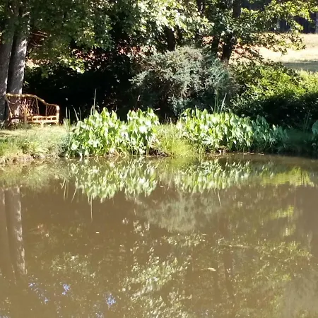 Ferienhaus Des Hortensias