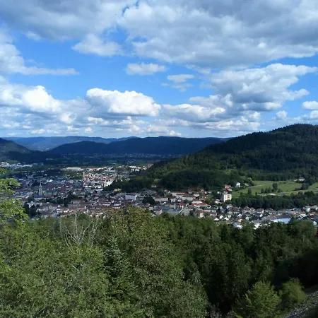 Feriehus Des Hortensias Raon-aux-Bois
