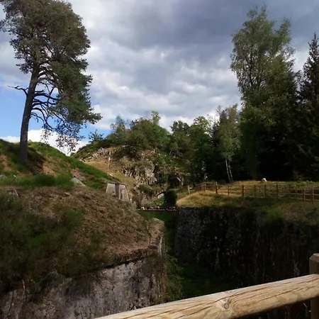 Des Hortensias Raon-aux-Bois