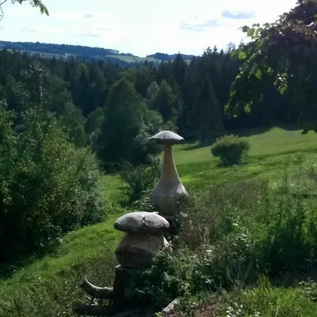 Des Hortensias * Raon-aux-Bois