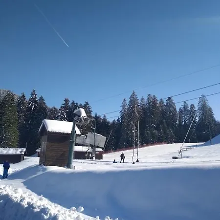 Des Hortensias * Raon-aux-Bois