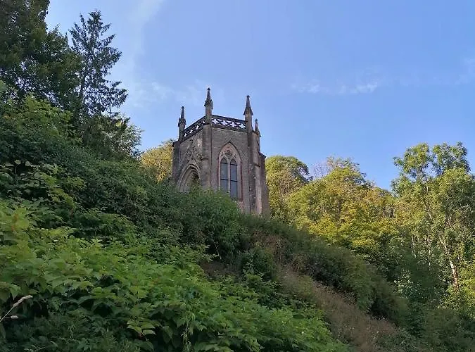 Des Hortensias Raon-aux-Bois