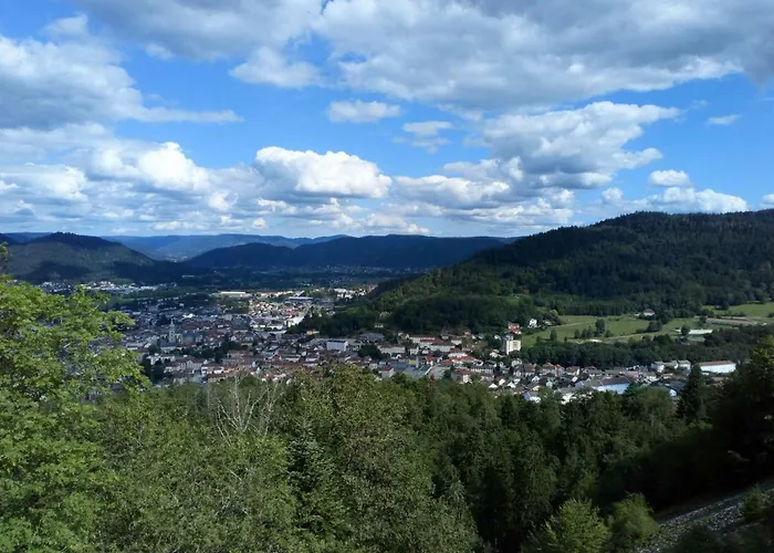 Holiday home Des Hortensias Raon-aux-Bois