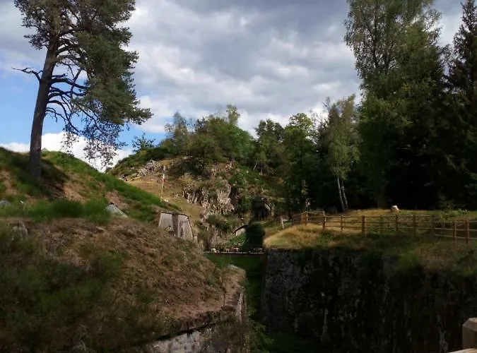 Des Hortensias Raon-aux-Bois