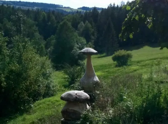 Des Hortensias * Raon-aux-Bois
