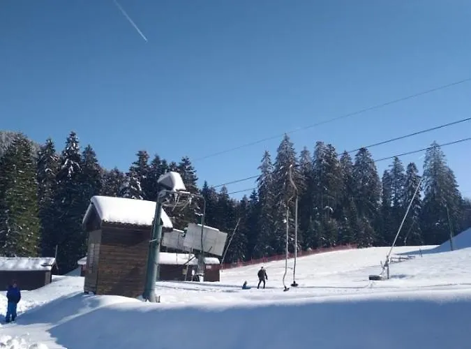 Des Hortensias * Raon-aux-Bois